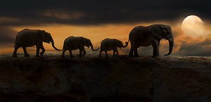 Meditation: Suffering and Compassion (8:07 min.) - Tara Brach