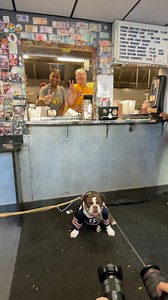 58K views · 1.2K reactions | Chicago showed up  | Chicago Bears | Facebook