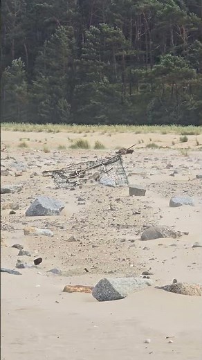 Najszersza plaża w Polsce przy Przekopie Mierzei Wiślanej + sieweczka obrożna!