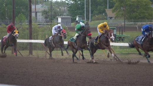 City hall gives green light to demolish Saskatoon's Marquis Downs
