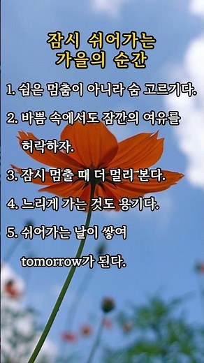 가을이 주는 쉼과 여유의 문장 10가지,#쉼명언 #여유글귀 #힐링문구 #가을치유 #마음휴식