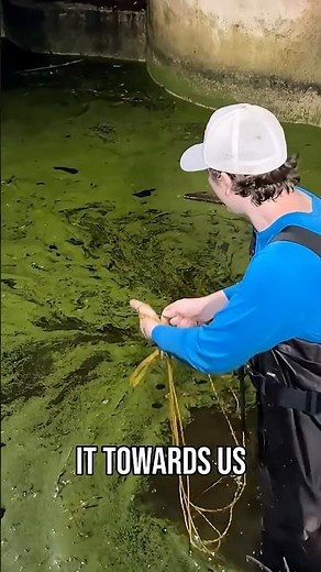 Placing a Fish Trap in an Abandoned Pond... #axolotls #abandoned #fish #fishing