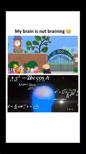 what are they seeing in the zoo #memes #meme #funny