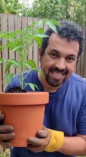 “Fast composting for beginners”