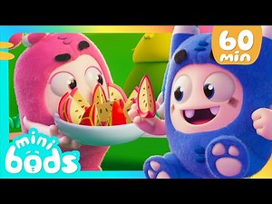 Fruits of Labour | Minibods | Rob the Robot & Friends - Funny Kids TV