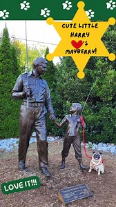 Andy Griffith Museum on Reels