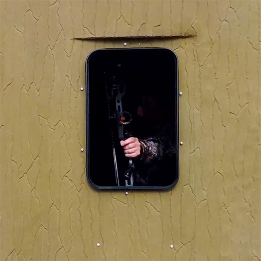 What to Know About Banks Blinds