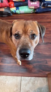 32K views · 513 reactions | His scrunchy face eating broccoli 梁 What...