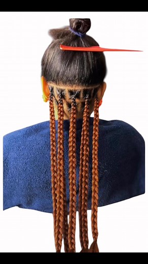 Beautiful hairstyles #BoxBraids  | Rainbow hairstyles | Facebook