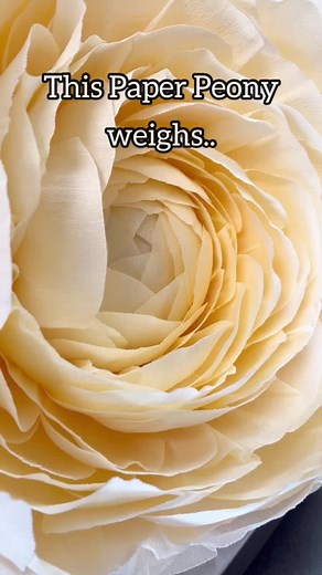 Exploring the Weight of Giant Flowers: A Surprising Revelation!