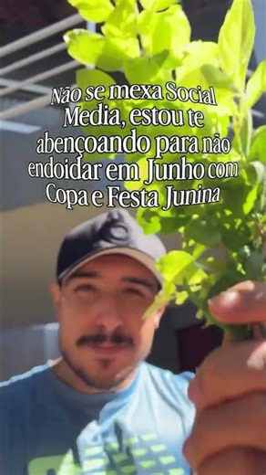 Realidade de Social Media em Junho | Social Media de Elite