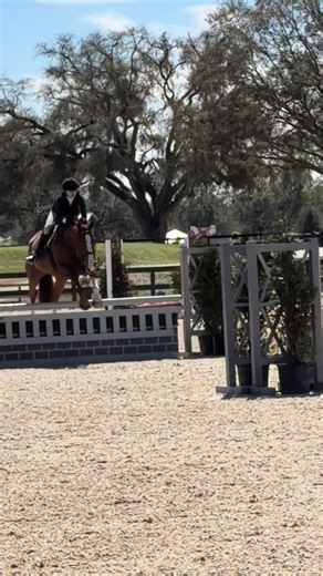 gaston and ultra the most perfect pony’s🥹