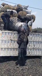 Kalengwa kakujaya bamaalumi too much 😭😭 click on 975007455 WhatsApp now and get the whole album | Choolwe Sikabanze Music