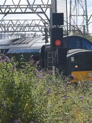 here's A Clip of Class 37521 D6817 seen here working the Crewe To Crewe locomotive movement with 47830 at Crewe on August 9th 2024. @LocomotiveServicesGroup #Class37 #D6817 #37521 #Class47 #47830 #Crewe #wcml