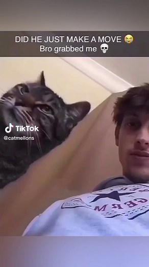 Cat Rizzing Compilation: Hilarious Feline Moments