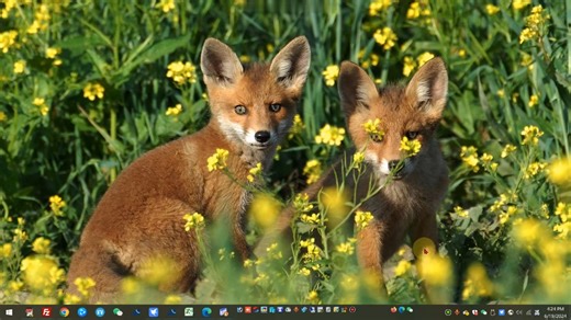 软件推荐——高级日期时间计算器（Advanced Date Time Calculator）。P3：计算日历日期时间、计算工作日日期、计算周末日期。