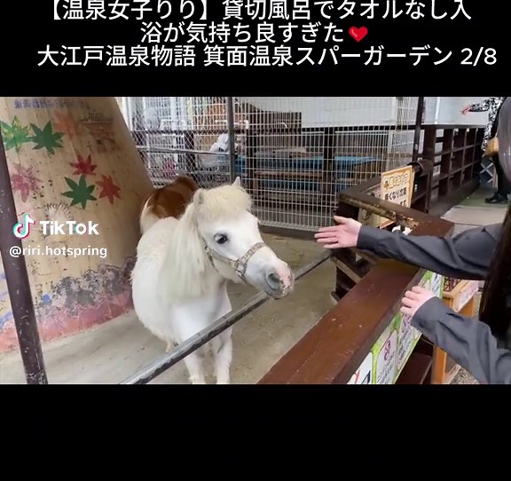 【温泉女子りり】貸切風呂でタオルなし入浴が気持ち良すぎた❤︎ 大江戸温泉物語 箕面温泉スパーガーデ2