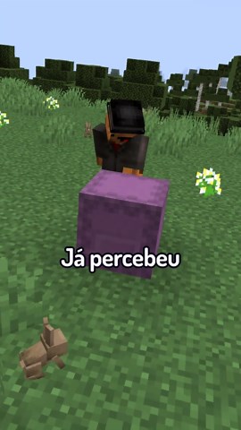 O Segredo do Shulker no Minecraft