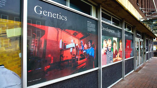 Denmark Hill Campus | King's College London