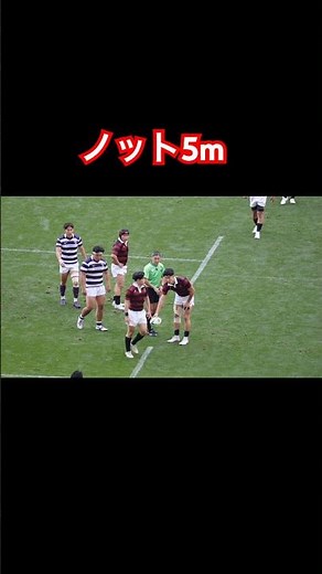 ノット5m 初めて見ました 関東大学ラグビー対抗戦 明治大学vs早稲田大学