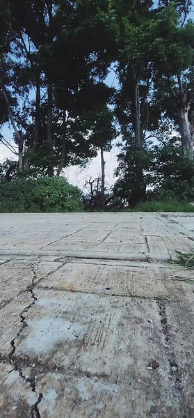 Kike Dávila on TikTok