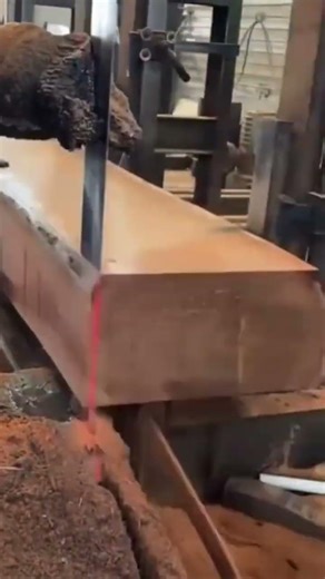 cutting a large wooden log into thick planks using a vertical industrial bandsaw machine