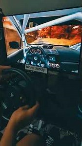 Dirt Rally 2 - Thrustmaster TMX Wheel - Linux Fedora