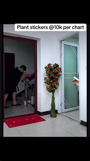 Stylish Plant Stickers for Aesthetic Room Decor