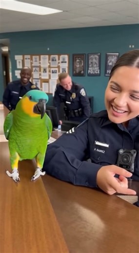 #police | Emojis world