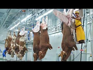 Extreme Cow Farming - Pretty Girl Machinery