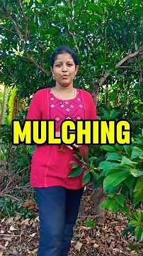 🌿Learn What is Organic Farming, before starting your first step!