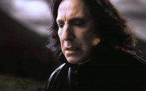 最勇敢的懦夫西弗勒斯！_哔哩哔哩_bilibili