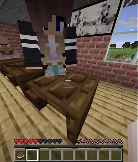 How to Get a Minecraft Girlfriend