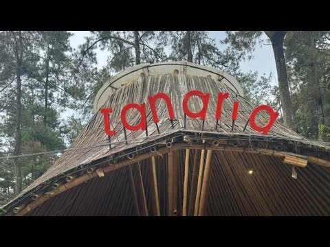 #11NVLOG A DAY IN PASURUAN,EAST JAVA