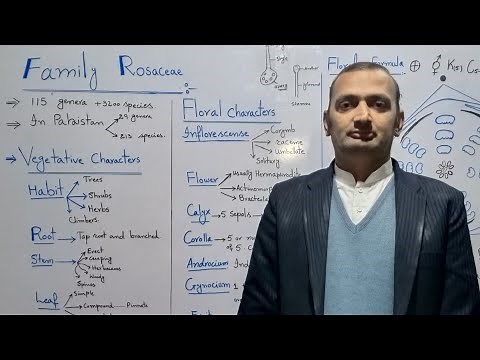 Family Rosaceae/Rose family with practical demonstration