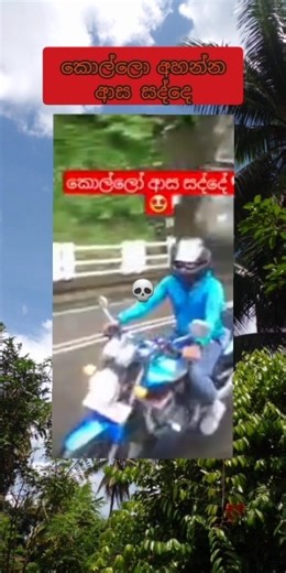 කොල්ලො ආසම සද්දෙ මේකද?#chutta #caption