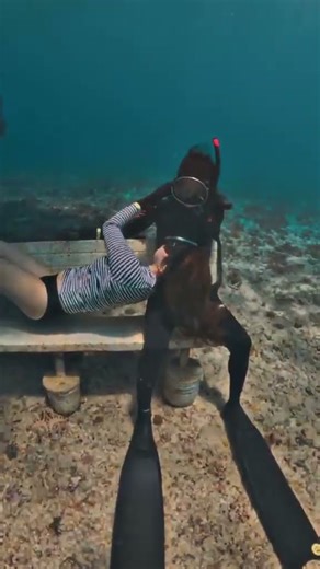 couple shoot underwater video ❤️ #freediving #gopro #ocean #sea
