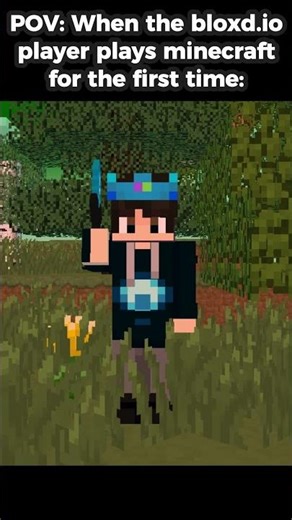 POV: When bro plays too much bloxd io: #bpyt #bloxd #bpimations #animation #birdtrend #funny