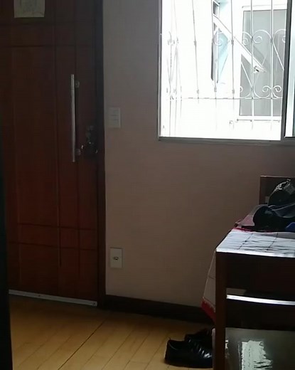 Exploring Viking Culture and History