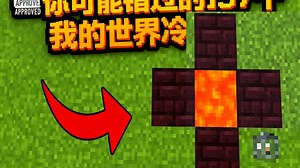 【中配】你可能错过的157个《我的世界》冷知识 - Skip the Tutorial