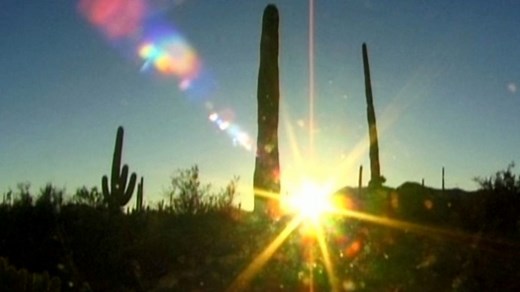 An introduction to the Sonoran Desert