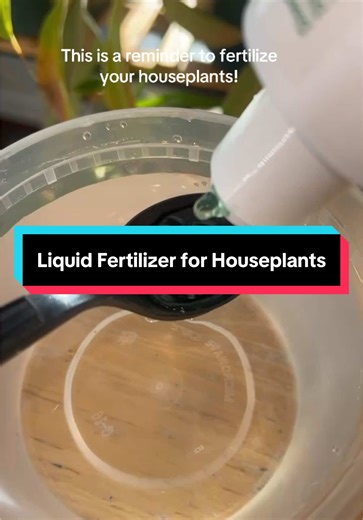 Liquid Fertilizer for Houseplants: Boost Growth Today