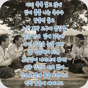 눈물나게 그리운여름날의 고향의 풍경#당산나무 그늘#시골풍경#60년대# 옛날사진#고구마# 라디오#평상#고향#나눔#수다#힐링#한국전통#자작시#시낭송# 감성시# 좋은글#여름날 #쇼츠