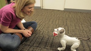 My week living with Aibo, Sony’s robot dog