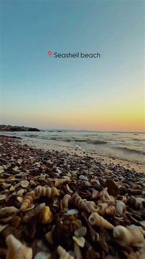 Suleman Nawar | Goa | Travel Content Creator | ✨ Episode 17: Seashell Beach, Goa 🐚 Discover the hidden coastal gem of Seashell Beach in Siridao, North Goa — a serene stretch where... | Instagram