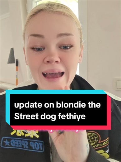 Blondie's New Beginning at Koycegiz Dog Sanctuary