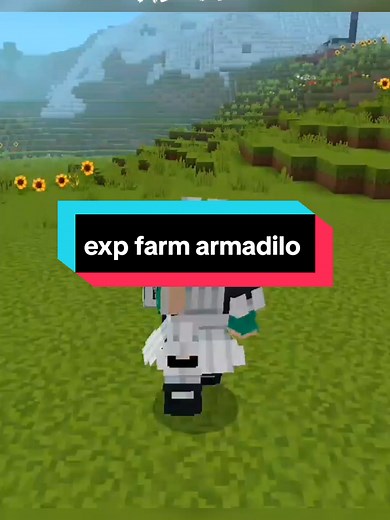 exp farm armadilo in Minecraft next bahas apa nih? #minecraftbuild #minecraft #minecraftbedrock #minecraftmcpe