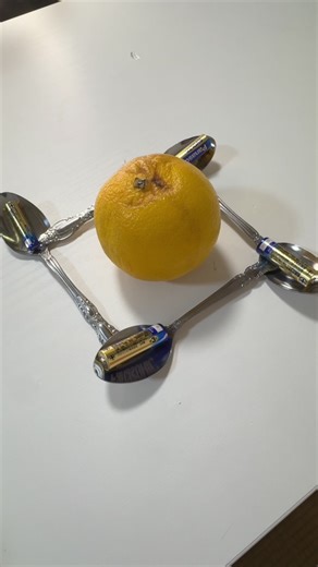 Exploring the Science Behind Movement