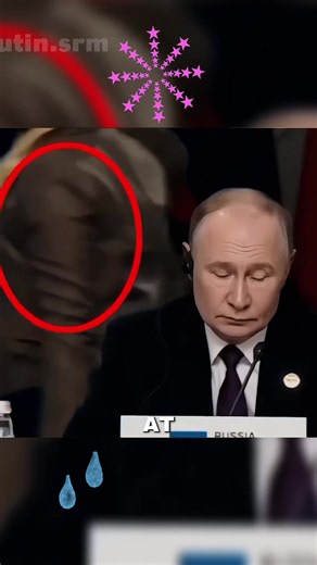 #Putin #VladimirPutin #usa #tiktok #new