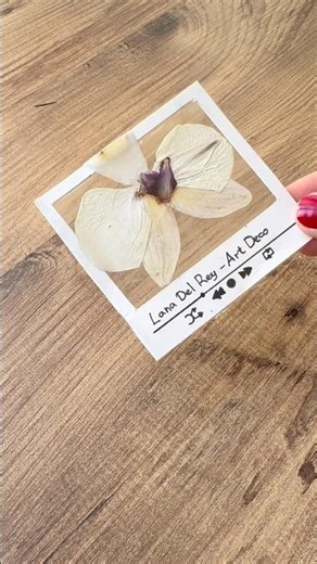 An easy DIY pressed flower bookmark✨#easycraft #giftideas